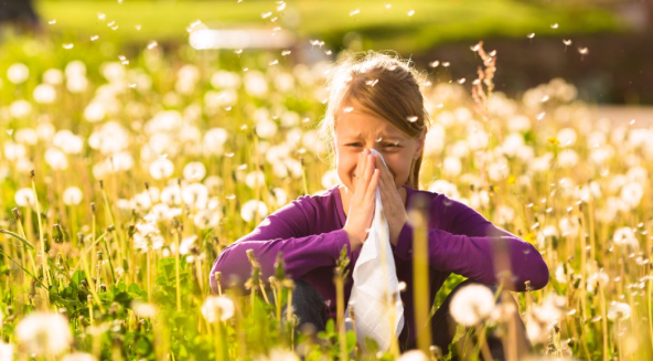 Why Does Spring Allergy Occur in Children?